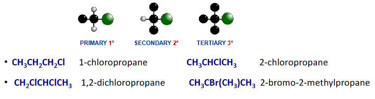 <p><span><span>Contains carbon halogen bonds</span></span></p><p><span><span>e.g. F, Cl, Br, I</span></span></p><p>classified according to environment of halogen</p><p></p>