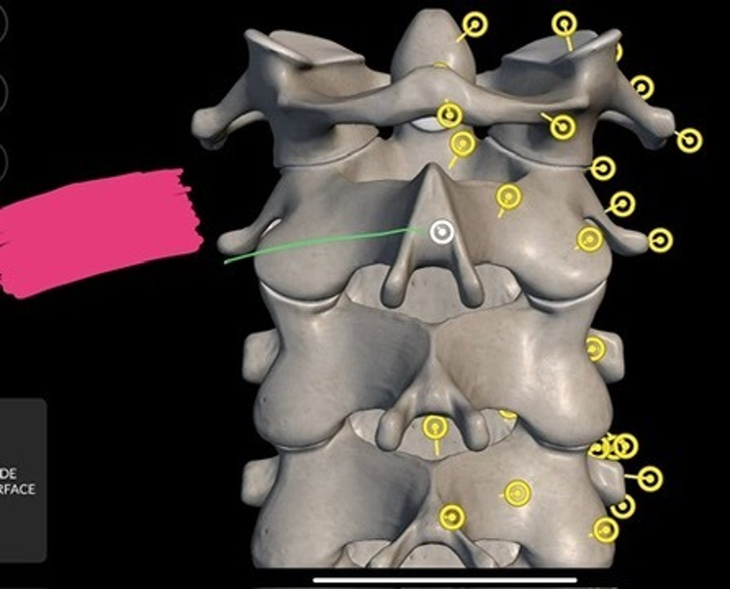 knowt flashcard image