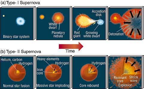 
1. **Type I** - formed by the explosion of a white dwarf component of a binary star
2. **Type II** caused by the explosion of stars with a mass of **> 8 solar masses**, after which the core collapses to form a neutron star or a black hole.