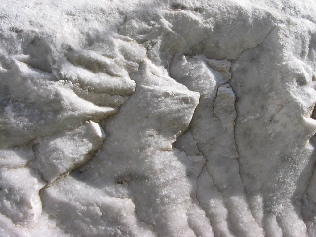 <p>Identify the metamorphic rock</p>