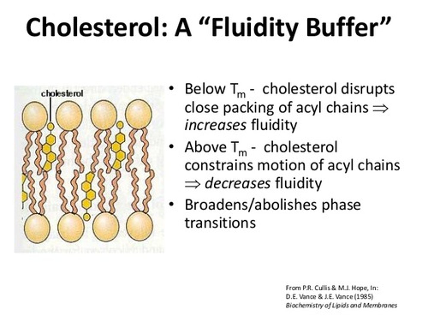 <p>False. Cholesterol plays an essential and important role within the cell membrane.</p>