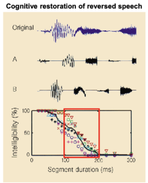 <ul><li><p><span style="background-color: transparent;"><span>found intelligibility of speech is resistant to time reversal of local segments of a spoken sentence when they are at syllable rates.</span></span></p></li><li><p><span style="background-color: transparent;"><span>They subdivided a digitised sentence into segments of fixed duration</span></span></p></li><li><p><span style="background-color: transparent;"><span>Every segment was then time-reversed.&nbsp;</span></span></p></li><li><p><span style="background-color: transparent;"><span>The entire spoken sentence was therefore globally contiguous, but locally time-reversed, at every point (A &amp; B in the figure).&nbsp;</span></span></p></li><li><p><span style="background-color: transparent;"><span>Listeners report:</span></span></p><ul><li><p><span style="background-color: transparent;"><span>perfect intelligibility of the sentence for segment durations up to 50 ms</span></span></p></li><li><p><span style="background-color: transparent;"><span>partial intelligibility for segment durations exceeding 100 ms, with 50% intelligibility occurring at about 130 ms</span></span></p></li><li><p><span style="background-color: transparent;"><span>no intelligibility for segment durations exceeding 200 ms (Figure bottom).</span></span></p></li></ul></li><li><p><span style="background-color: transparent;"><span>This duration (~200 ms) roughly corresponds to one syllable rate</span></span></p></li><li><p><span style="background-color: transparent;"><span>Thus, the results support the importance of the temporal scale of syllables in speech intelligibility.</span></span></p></li></ul><p></p>