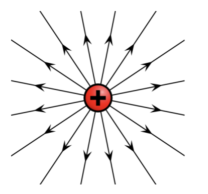 <ul><li><p>Radial field.</p></li><li><p>Electric field strength decreases with distance from charge (field lnes become further apart).</p></li><li><p>Field lines meet charge at right angles to its surface.</p></li><li><p>Arrows point in the direction that a positive point charge would experience a force (away from +).</p></li></ul><p></p>