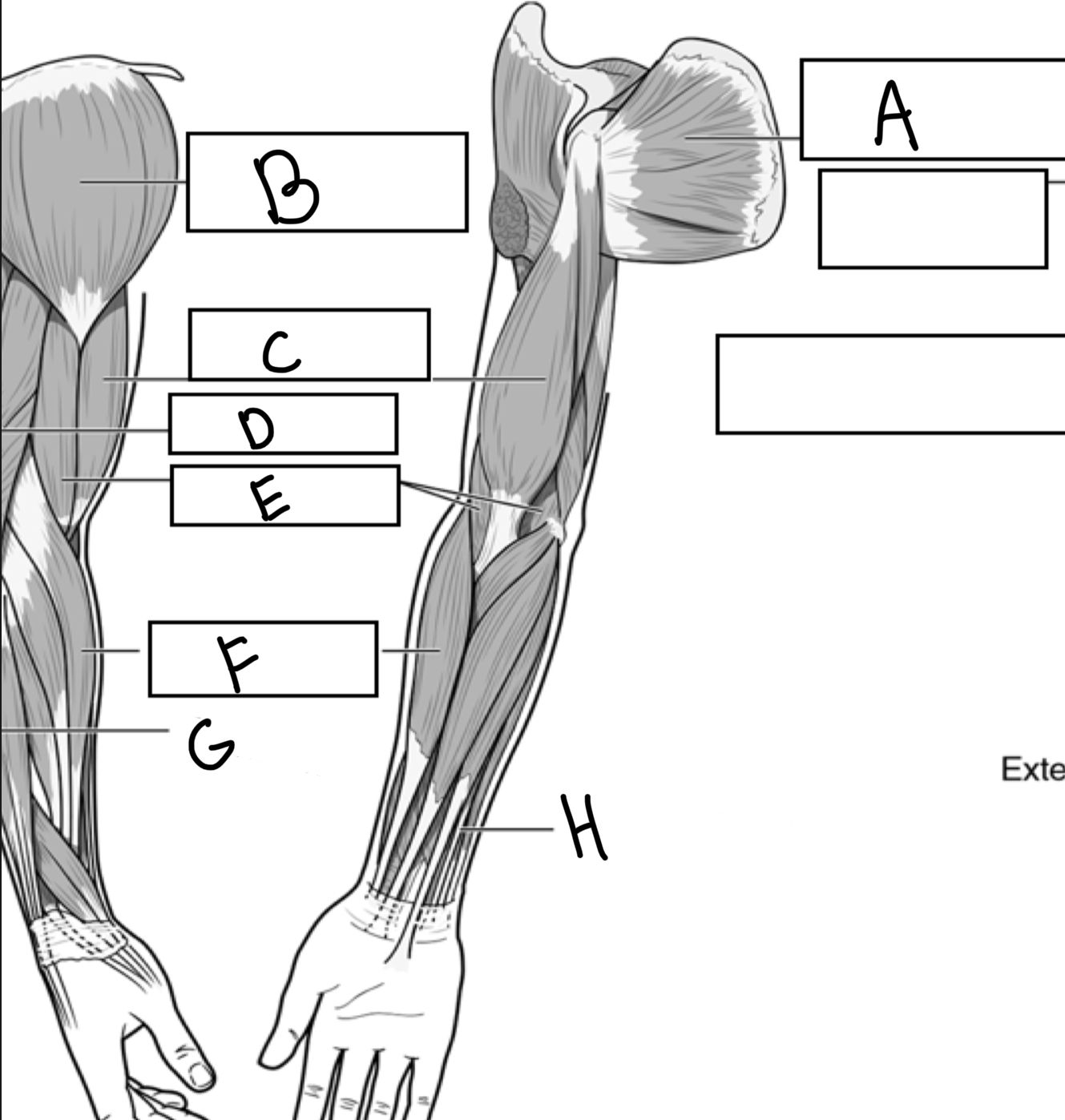 <p>What is E</p>