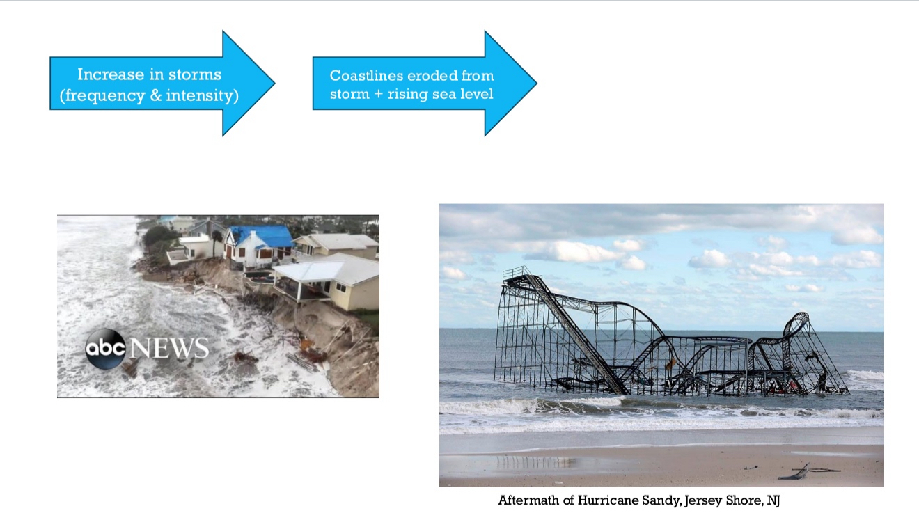 <ul><li><p>Increase in storms (frequency and intensity)</p></li><li><p>Coastlines eroded from storms + rising sea levels</p></li></ul><p></p>