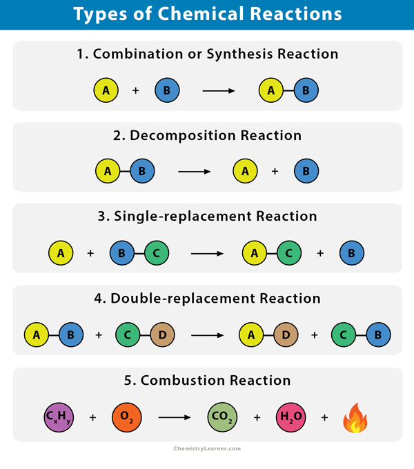<ol><li><p><mark data-color="#235c77" style="background-color: #235c77; color: inherit">Synthesis Reaction</mark>: When two or more atoms or molecules combine to form a single compound. This reaction usually involves the <em>release</em> of energy</p></li><li><p><mark data-color="#2f7ea4" style="background-color: #2f7ea4; color: inherit">Decomposition Reaction</mark>: When a compound breaks down into two or more products. This reaction usually <em>requires </em>the input of energy</p></li><li><p><mark data-color="#3489bd" style="background-color: #3489bd; color: inherit">Single Displacement Reaction</mark>: When another replaces one element in a compound </p></li><li><p><mark data-color="#489daf" style="background-color: #489daf; color: inherit">Double Displacement Reaction</mark>: The exchange of bonds between two reacting chemical species → common types are neutralization and precipitation reactions</p></li><li><p><mark data-color="#266a7f" style="background-color: #266a7f; color: inherit">Combustion Reaction</mark>: When a substance reacts with O2 gas to produce light and heat. It must involve oxygen as a reactant</p><ul><li><p>For hydrocarbon reactions, water and carbon dioxide are always the products.</p></li></ul></li></ol><p></p>