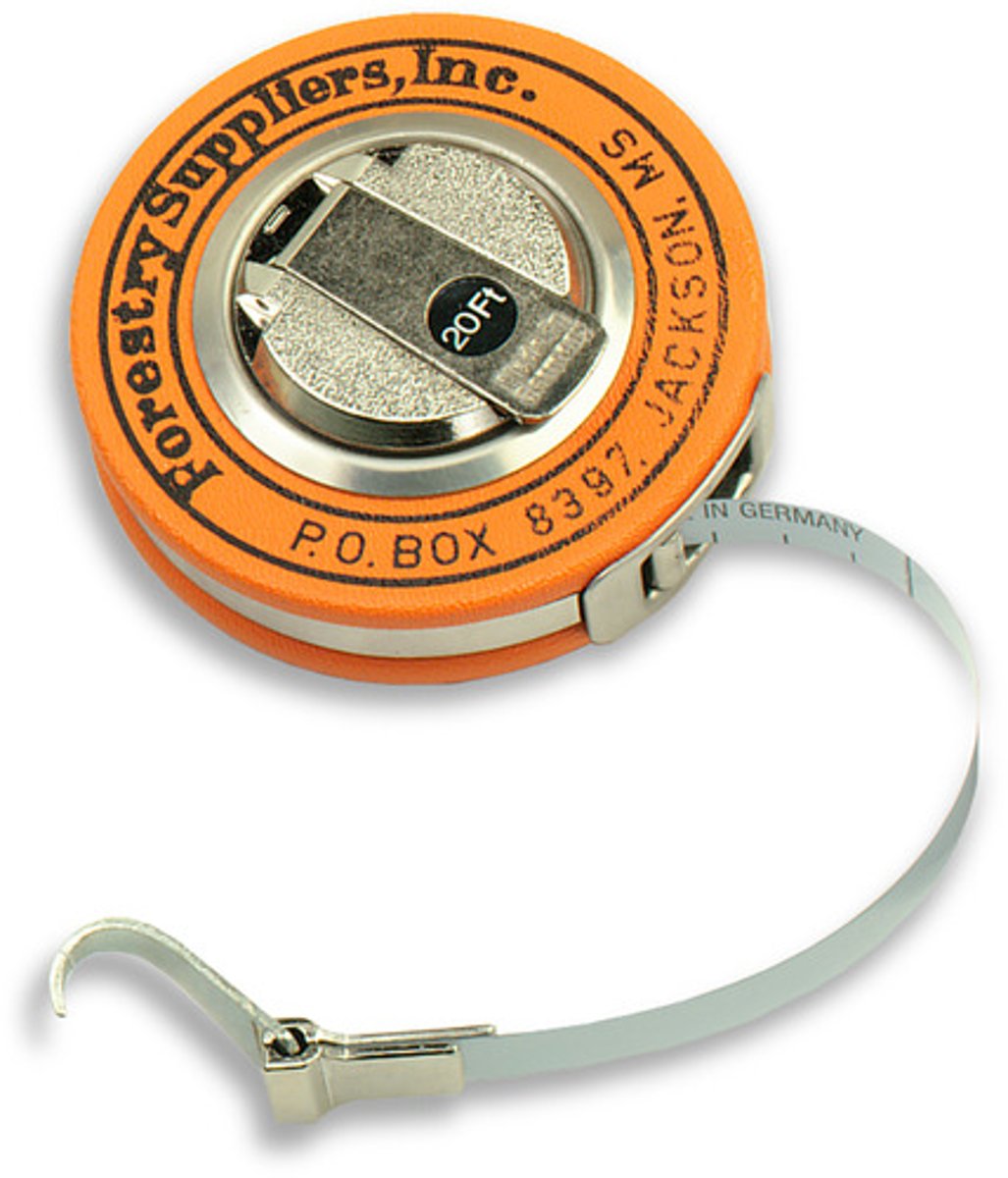 <p>Measure around the tree to determine its diameter.</p>