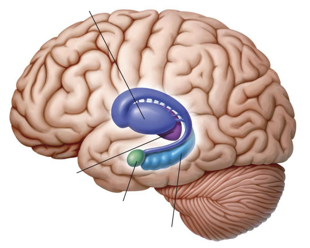 <p>what is shown in this picture?</p>