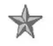 <p>One silver five pointed star (O7)</p>