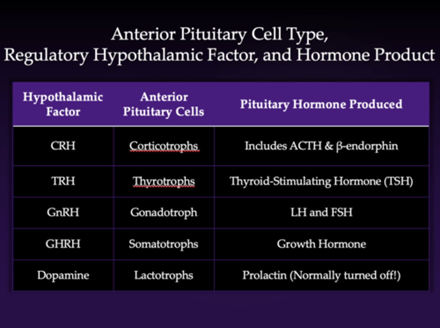 <p>- hypothalamic factor CRH → stimulates corticotrophs → releases ACTH (adrenocorticotropin) and β-endorphin</p><p>1. hormone 1 (CRH) travels from hypothalamus to the anterior pituitary and acts on the anterior pituitary cells (corticotrophs); corticotrophs have a CRH receptor and can respond to that</p><p>2. corticotrophs make hormone 2 (ACTH and β-endorphin)</p>