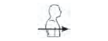 <p>Antérieur (ventral)</p>
