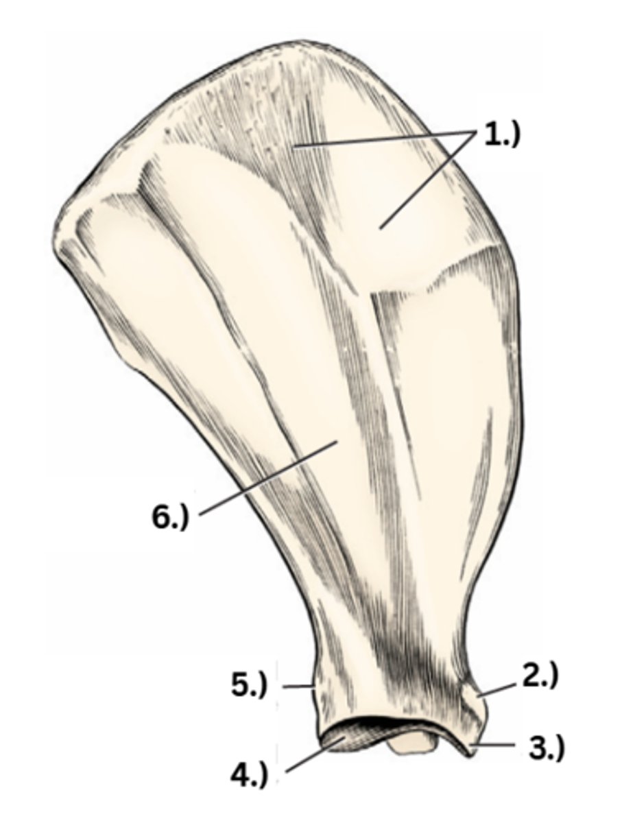 <p>5</p>