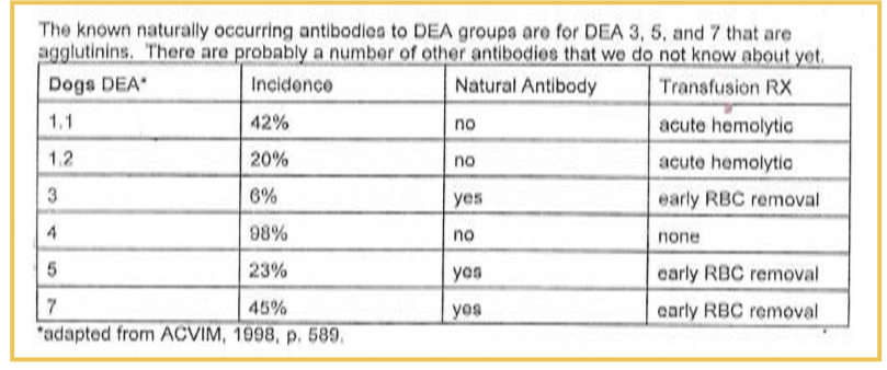 <ul><li><p>Natural antibodies - not clinically significant </p></li><li><p>DEA 1.1 and 1.2 are immunogenic RBC antigens; stimulate IgG production in 1.1 and 1.2 negative animals </p></li><li><p>Universal donors are 1.1 and 1.2 negative </p></li></ul><p></p>