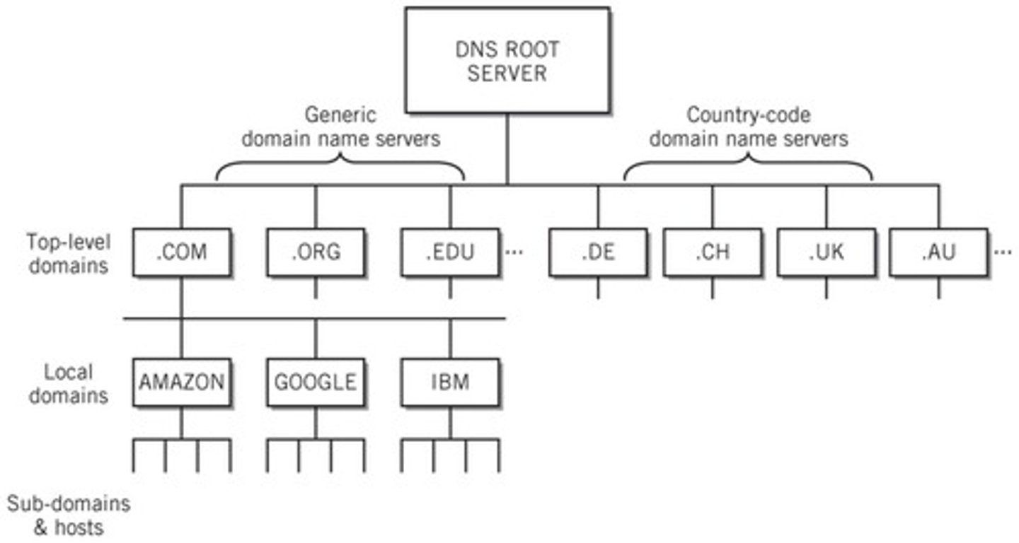 <p>DNS translates domain names into IP addresses, allowing users to access websites without memorizing IP addresses.</p>