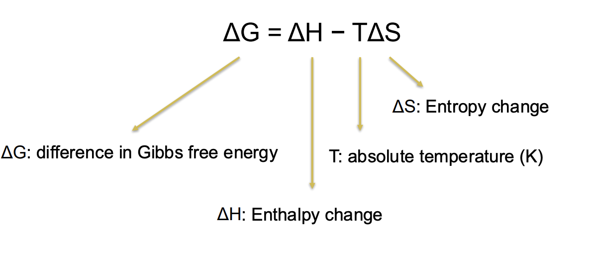 <ul><li><p class="Paragraph SCXO234058148 BCX0" style="text-align: left;"><span style="background-color: inherit; line-height: 19.55px; color: windowtext;"><span>2</span><sup><span>nd</span></sup><span> law of thermodynamics</span></span><span style="line-height: 19.55px; color: windowtext;"><span> </span></span></p></li><li><p class="Paragraph SCXO234058148 BCX0" style="text-align: left;"><span style="background-color: inherit; line-height: 19.55px; color: windowtext;"><span>Energy lost due to randomness</span></span><span style="line-height: 19.55px; color: windowtext;"><span> </span></span></p></li><li><p class="Paragraph SCXO234058148 BCX0" style="text-align: left;"><span style="background-color: inherit; line-height: 19.55px; color: windowtext;"><span>Temperature is constant</span></span><span style="line-height: 19.55px; color: windowtext;"><span> </span></span></p></li><li><p class="Paragraph SCXO234058148 BCX0" style="text-align: left;"><span><span>compare the total energy and entropy of the reactants with the total energy and entropy of the products to see if there is energy available to do work.</span></span></p></li><li><p class="Paragraph SCXO234058148 BCX0" style="text-align: left;"><span><span>useful way to see if a chemical reaction takes place spontaneously and whether net energy is required or released</span></span></p></li></ul><p></p>