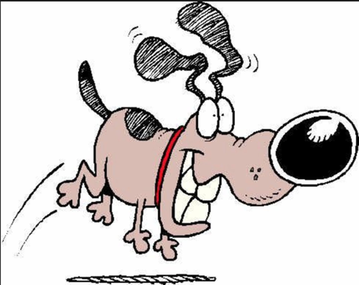 <p>liveliness and eagerness</p>