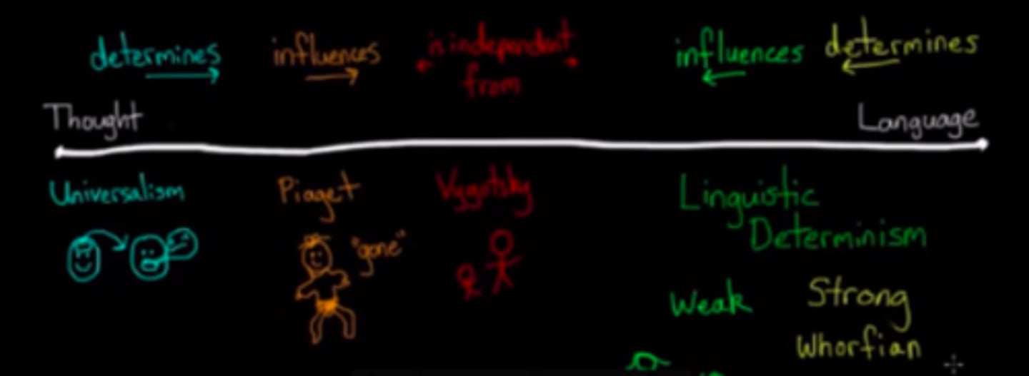 <p>the proposal that the particular language one speaks influences the way one thinks about reality.</p>