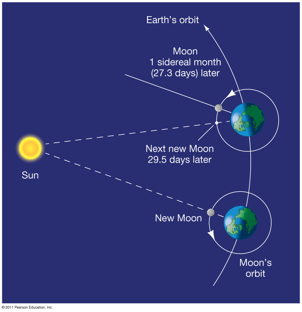 <p><strong>Month</strong></p>