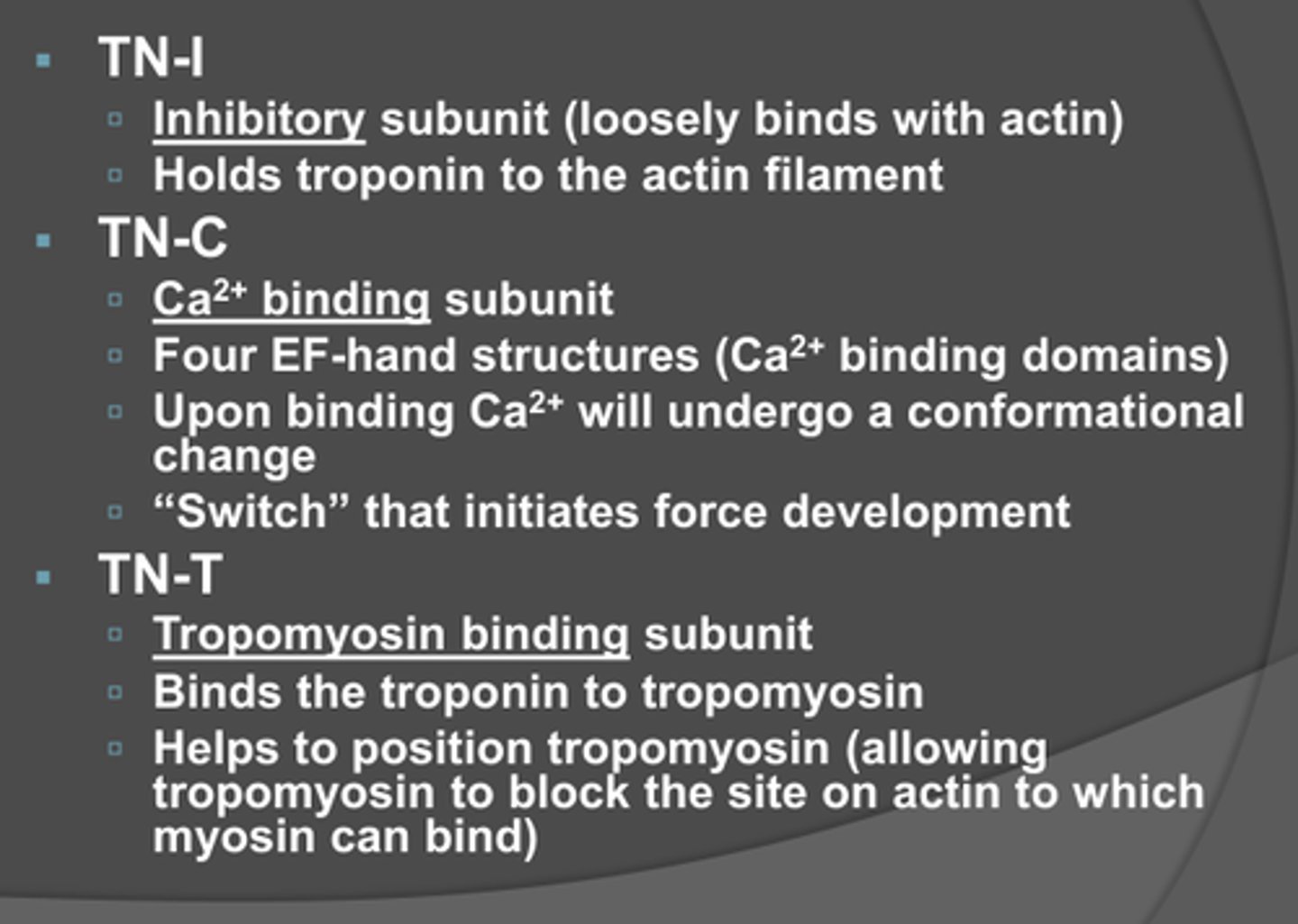 <p>-rod like protein</p><p>-binds to actin</p><p>-blocks the site on actin to which the myosin head can bind</p><p>-two double helical structure per thin filament</p>