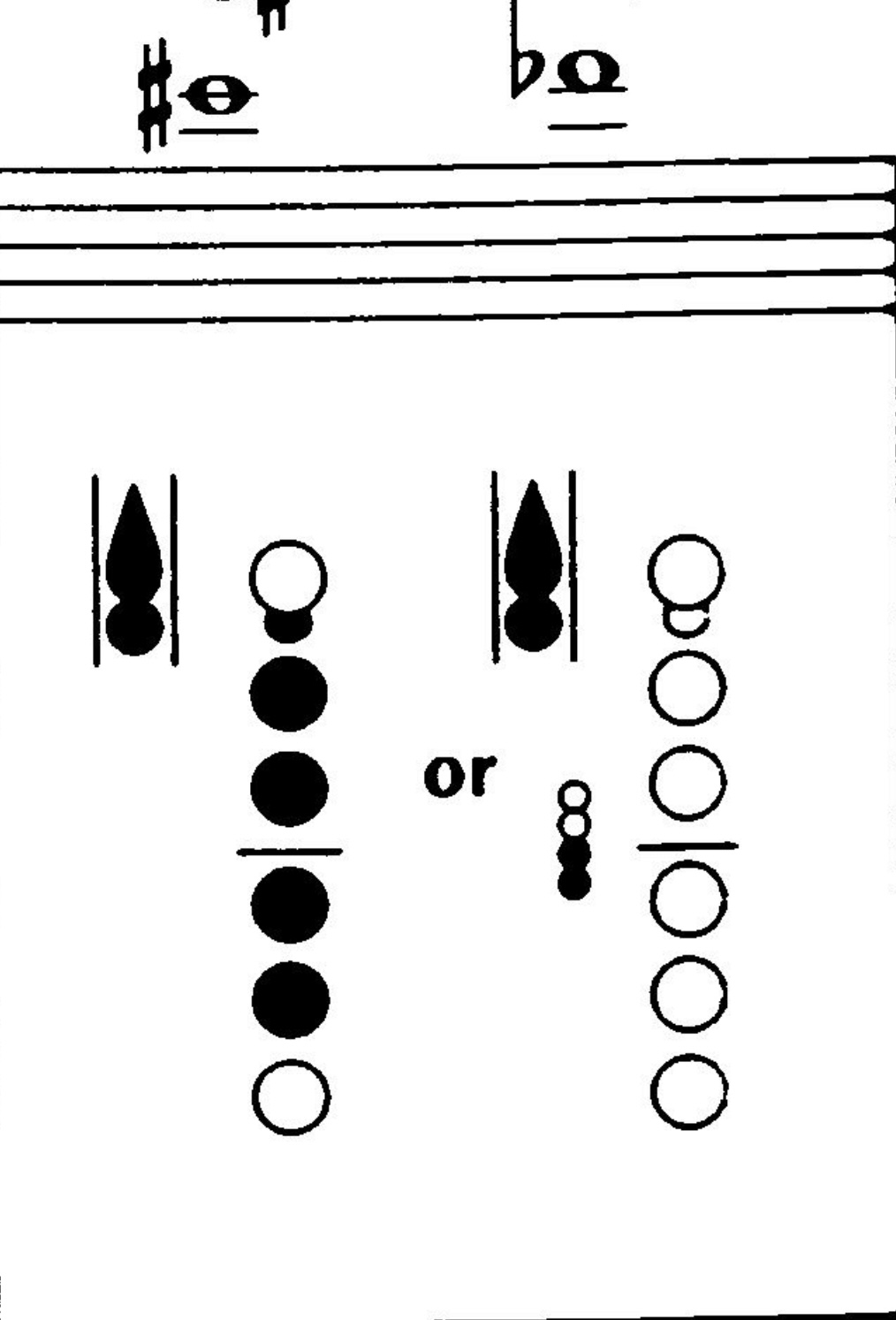 <p>What notes are these?</p>