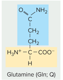 <p>is this amino acid side chain polar (charged or un-charged) or non polar</p>