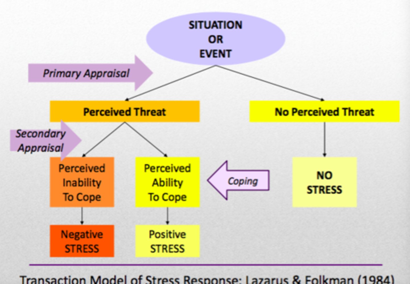 <p>initial decision regarding whether an event is harmful, evaluating the significance, whether it is relevant, and whether it will benefit or cause harm to the person</p><p>if irrelevant or benign/positive, the stressor is discared</p><p>if deemed stressful, it will either be a harm, threat or a challenge</p>