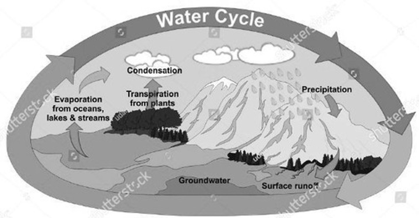 <p>The hydrologic cycle involving continuous change in water form: liquid, solid, and gas, including processes like evaporation and precipitation.</p>