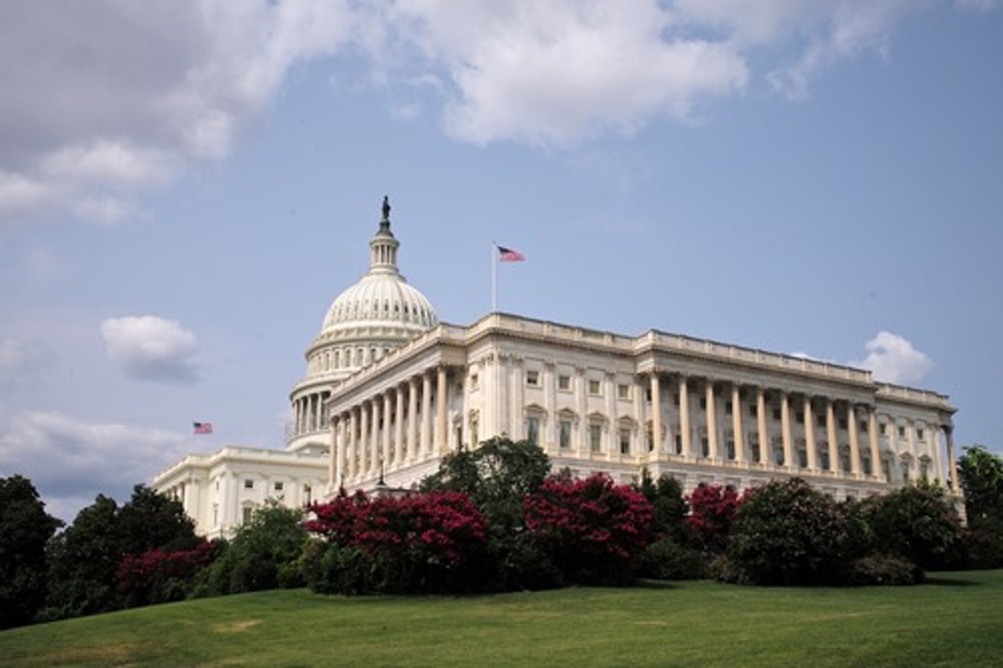 <p>political science</p>