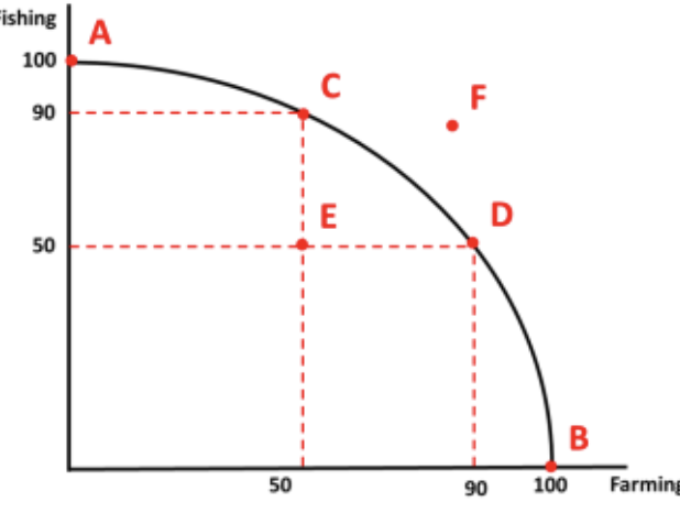 <p>Explain the points </p>