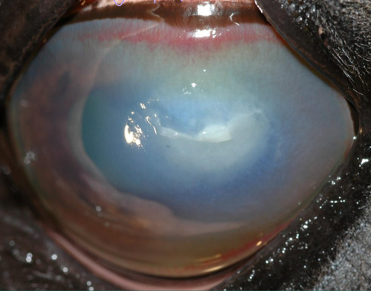 <p>Describe what you are seeing?</p>