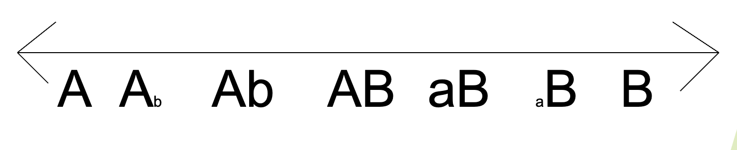 <p>A capital letter would represent someone that is more monolingual in a certain language (language A or language B) smaller letters are representative of a person’s degree of bilingualism in that language</p><p>*think of bilingualism as more of a continuum than a yes/no checkbox</p>