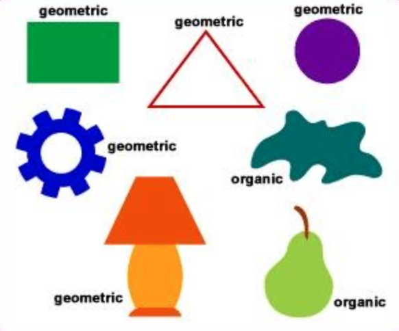 Geometric: Closed figures created using points, line segments, circles and curves. Based on math principles.

Organic: Curvilinear in appearance, similar to those found in nature such as plants, animals and rocks. Not as constrictive. 