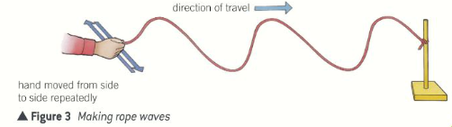 <p>Waves in which the direction of vibration of particles is perpendicular to the propagation of the waves</p>