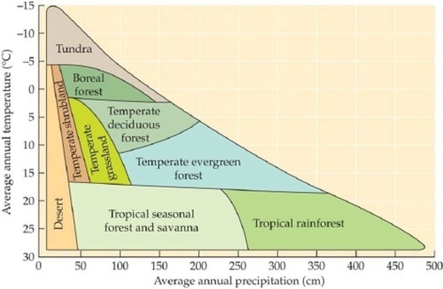 <p>C. temperate grassland</p>