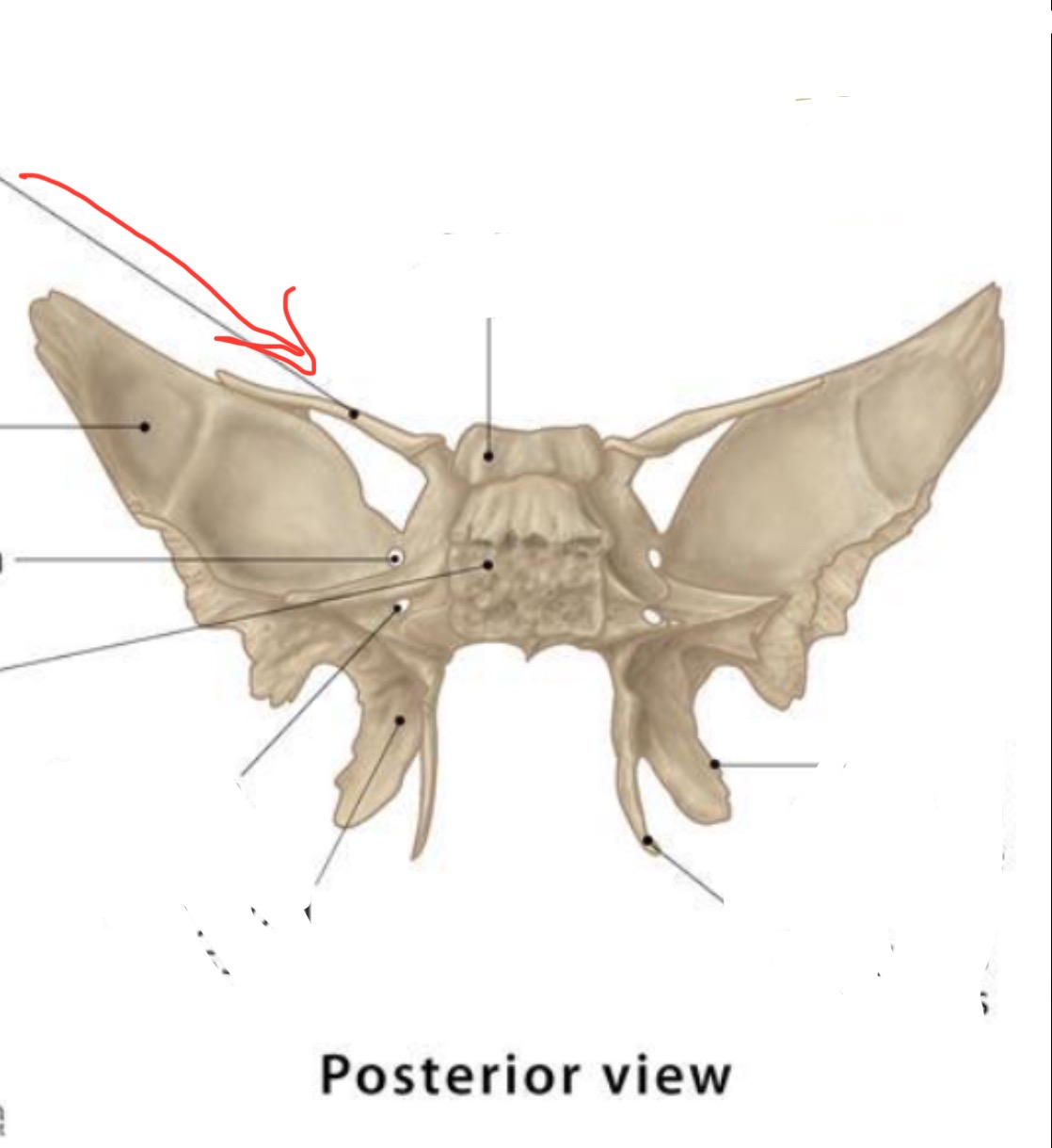 <p>what is this?</p>