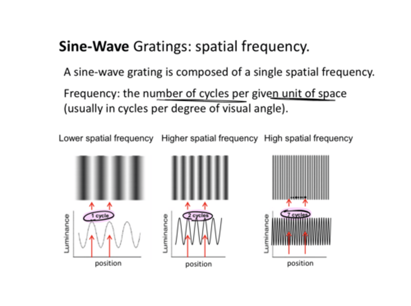 <p>Lower Spatial Frequency v High Spatial Frequency (Pic)</p>