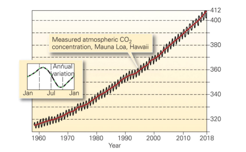 <ul><li><p>caused by seasons</p></li><li><p>winter months pull less CO2</p></li><li><p>shows influence of plants in the atmosphere</p></li><li><p>CO2 has never been higher in the past millions of years</p></li></ul>