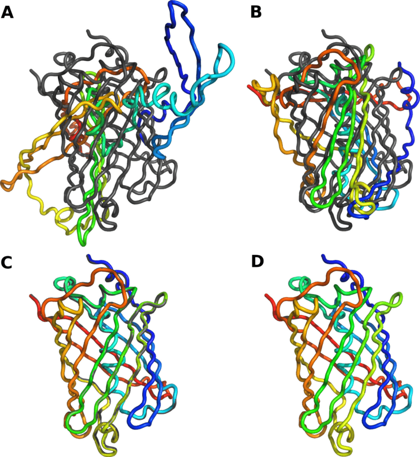 → Protein Model

* Shows overall organization
* Straightforward string-like model