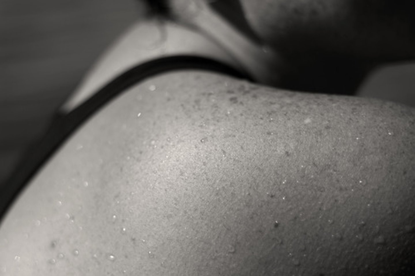 <p>shoulders</p>