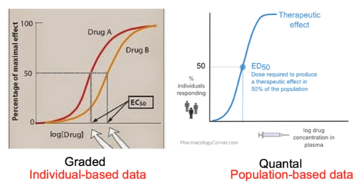 <p>graded= increment in physiologic or biochemical response as dose or concentration is increased</p><p>quantal= percent of the population under study that has a response as the dose is increased</p>