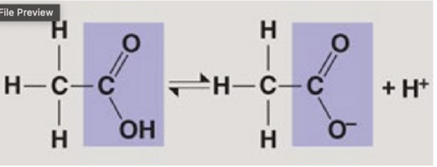 <p>Carboxylic acid = protonated, uncharged form of molecule (acetic acid)</p><p>Carboxylate ion = deprotonated, charged for (acetate (ionic form of acetic acid)</p>