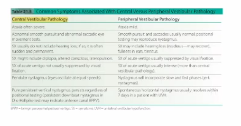 <ul><li><p>C</p></li></ul><p></p>