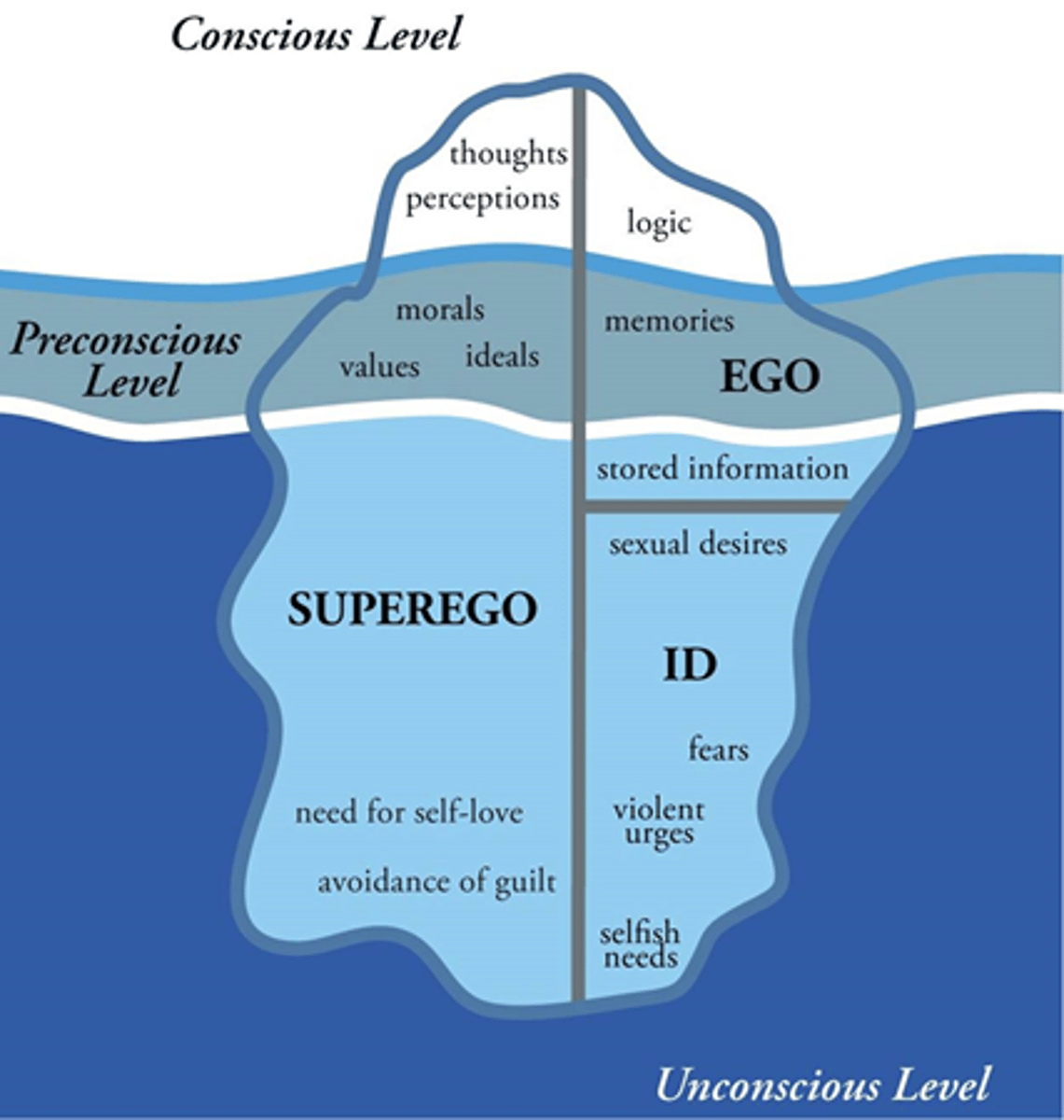 <p>Freud's theory which holds the assumption of unconscious internal states that motivate the overt actions of individuals and determine personality.</p>