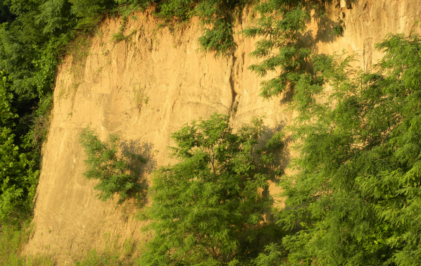 <p>loess(depositional)</p>