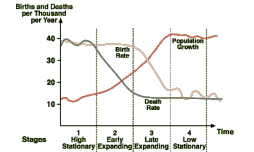 <ul><li><p>Theory of economic development and pop change that suggests that economic changes, specifically industrialization affect the relationship between the fertility and mortality rates in a society</p></li><li><p>Stabilization usually occurs in industrialized/developed countries</p></li><li><p>Affected by immigration into developed countries</p><ul><li><p>Increases fertility, decreases mortality</p></li><li><p>Usually healthy people migrating</p></li></ul></li><li><p>Population growth occurs rapidly because the mortality rate falls before the fertility rate does. Over time, the fertility rate also falls, thus stabilizing a lower rate of population growth</p></li><li><p><strong>Shift from high birth and death rate to low death and birth rate as country becomes industrialized</strong></p><ul><li><p>5 stages</p></li></ul></li></ul><p></p><ol><li><p>High birth and death rates. Stable population.High Stationary Pyramid</p></li><li><p>High birth rate and declining death rates (better sanitation and foodsupply). Increase in population. Population of older people increases.Early Expanding Pyramid</p></li><li><p>Lower birth rates (contraceptives, and social values changing) andsometimes continueddecline in death rates. Population stops growing asquickly. Late expansive pyramid</p></li><li><p>Birth rates and death rates balance. Population stabilizes. Lots ofpeople because of all the growth in 1-3. Low-Stationary Pyramid</p></li><li><p>Speculative Stage; population could remain stable, increase, ordecrease(decrease=constrictive pyramid). Less births and more deaths</p></li></ol><p></p>