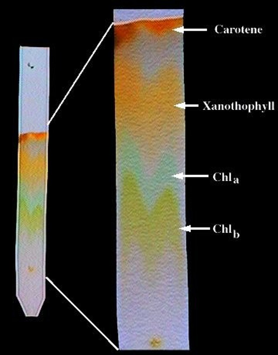 <p>unit of measurement used in chromatography</p>