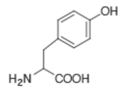 <p>What is the three letter code of the amino acid shown?</p>