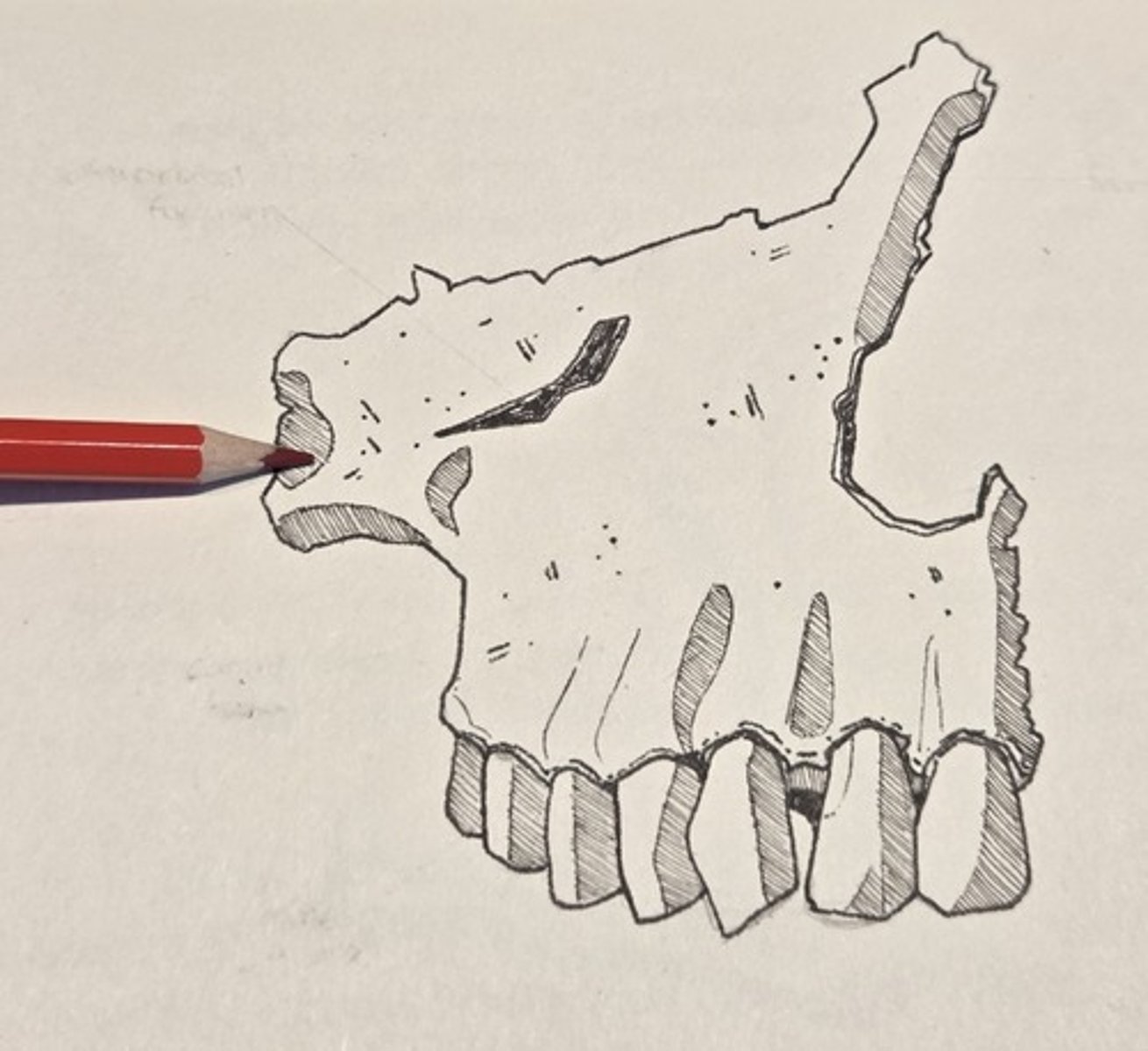 <p>forms the cheekbone</p>