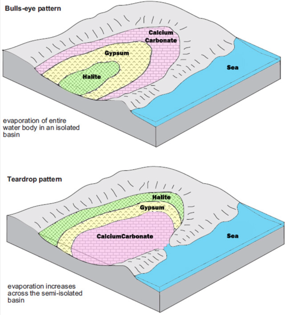<p>Hvordan fordeles mineraler fra kant til sentrum i en lukket innsjø?</p>