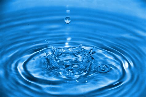 <p>Water</p>